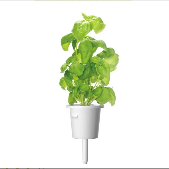 Click & Grow Smart Garden - Picture 4 of 6